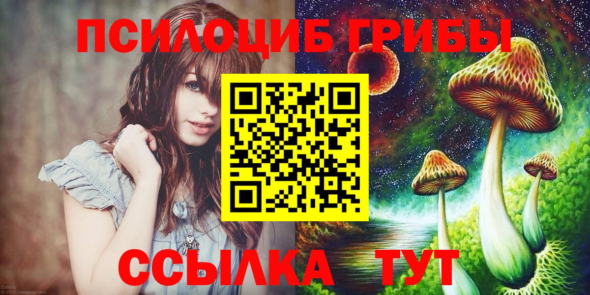 Орёл  Псилоцибиновые грибы Psilocybe  Вход с VPN 